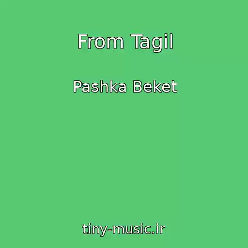کاور آهنگ From Tagil از Pashka Beket