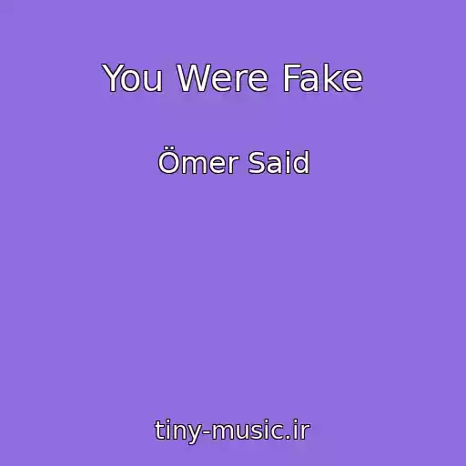 کاور آهنگ You Were Fake از Ömer Said