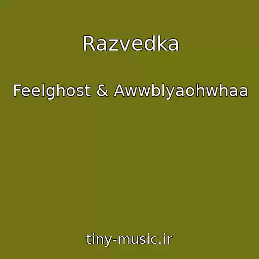 کاور آهنگ Razvedka از Feelghost & Awwblyaohwhaa