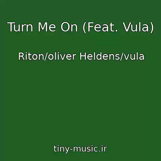 کاور آهنگ Turn Me On (Feat. Vula) از Riton/oliver Heldens/vula