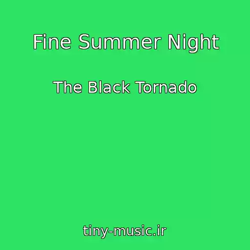 کاور آهنگ Fine Summer Night از The Black Tornado