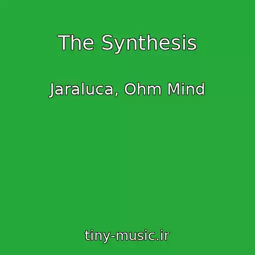 کاور آهنگ The Synthesis از Jaraluca, Ohm Mind