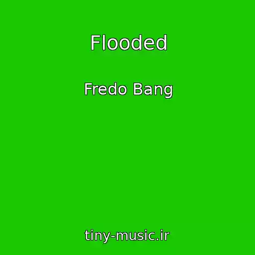 کاور آهنگ Flooded از Fredo Bang