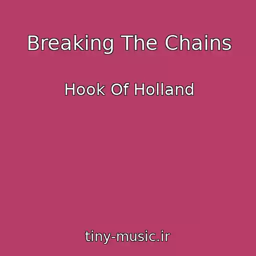 کاور آهنگ Breaking The Chains از Hook Of Holland