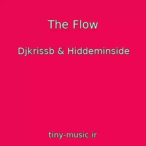 کاور آهنگ The Flow از Djkrissb & Hiddeminside