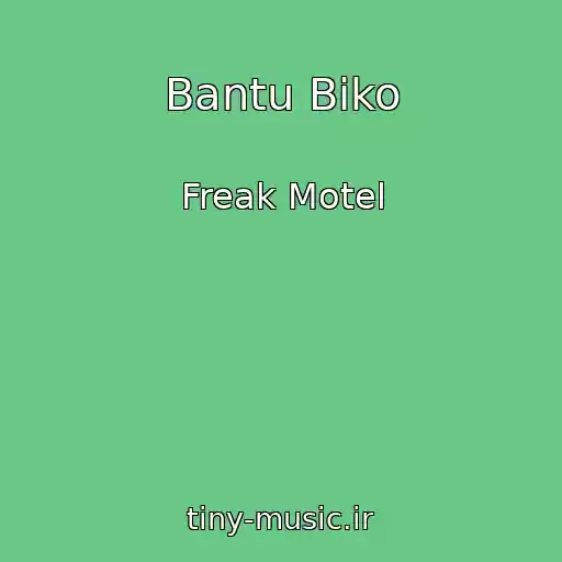 کاور آهنگ Bantu Biko از Freak Motel