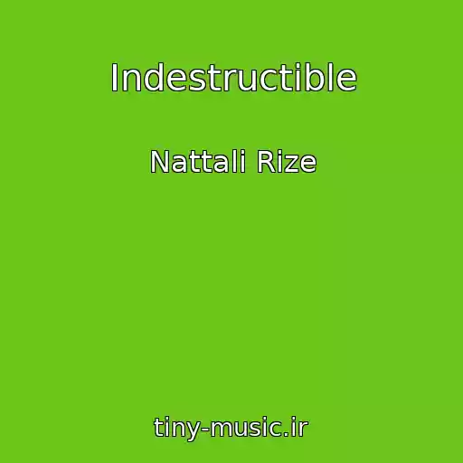 کاور آهنگ Indestructible از Nattali Rize