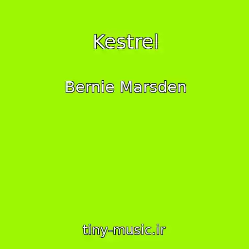 کاور آهنگ Kestrel از Bernie Marsden