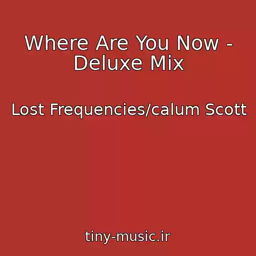 کاور آهنگ Where Are You Now - Deluxe Mix از Lost Frequencies/calum Scott