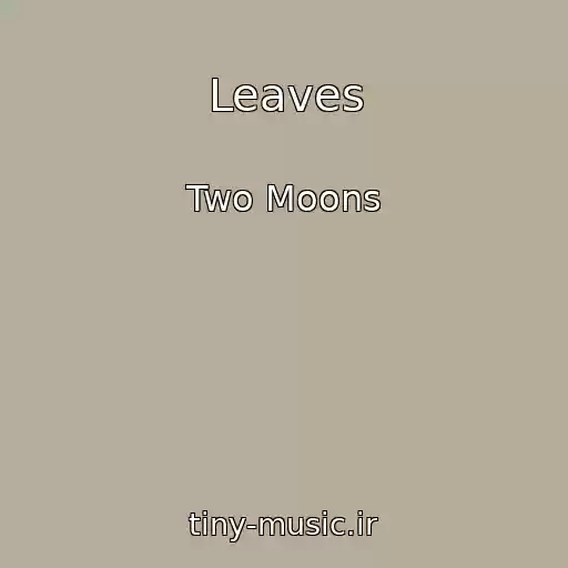 کاور آهنگ Leaves از Two Moons