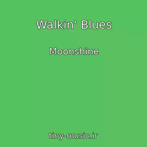 کاور آهنگ Walkin' Blues از Moonshine