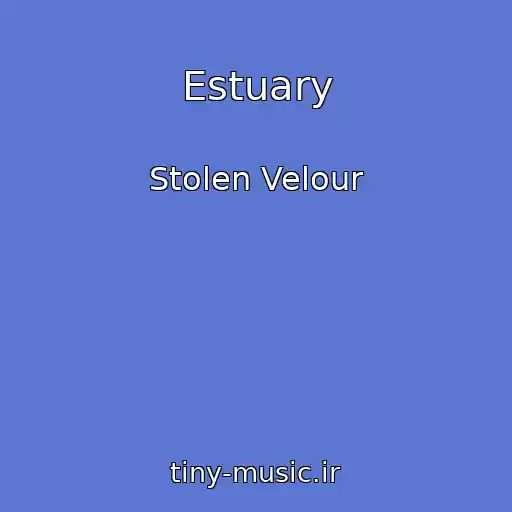کاور آهنگ Estuary از Stolen Velour