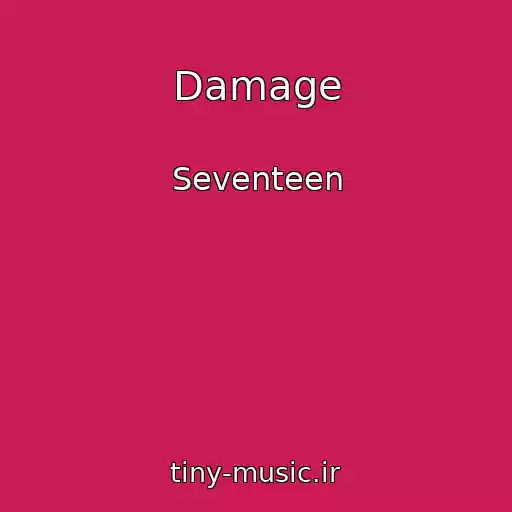 کاور آهنگ Damage از Seventeen
