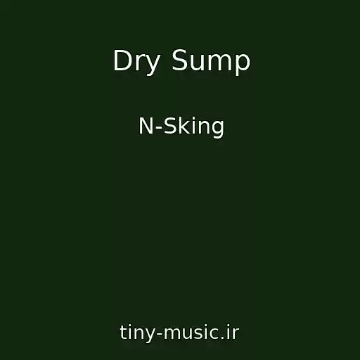 کاور آهنگ Dry Sump از N-Sking