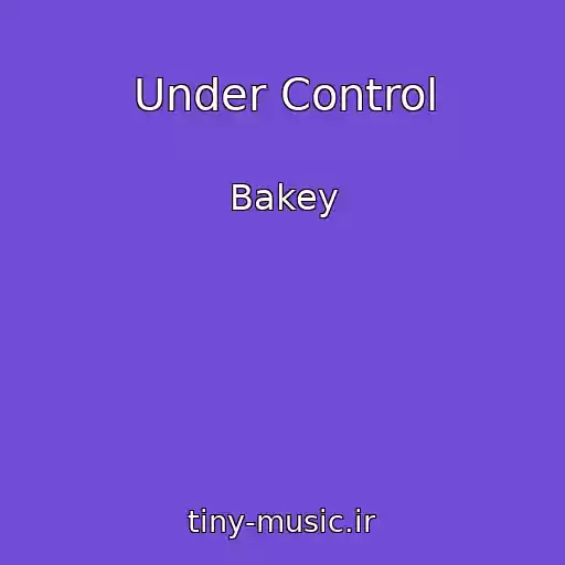 کاور آهنگ Under Control از Bakey