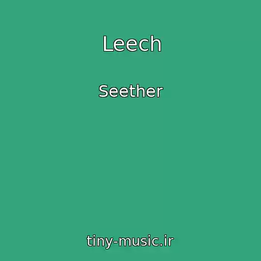 کاور آهنگ Leech از Seether