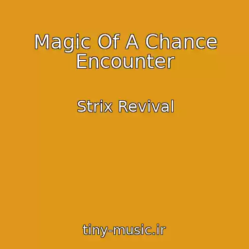 کاور آهنگ Magic Of A Chance Encounter از Strix Revival