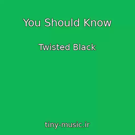 کاور آهنگ You Should Know از Twisted Black