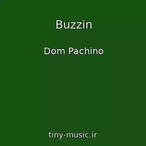 کاور آهنگ Buzzin از Dom Pachino