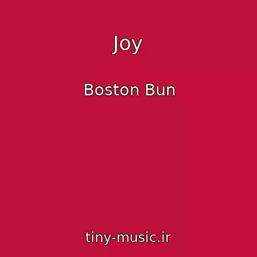 کاور آهنگ Joy از Boston Bun