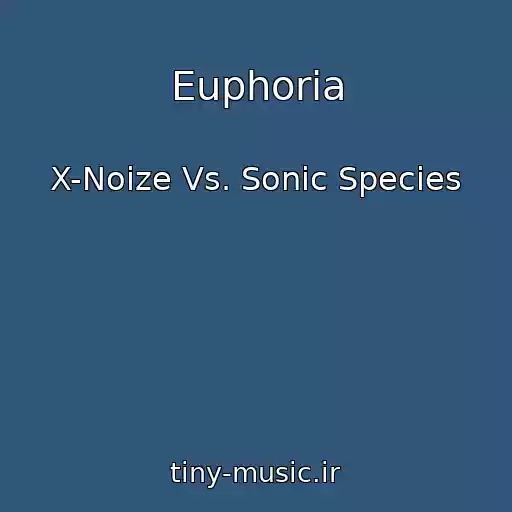 کاور آهنگ Euphoria از X-Noize Vs. Sonic Species