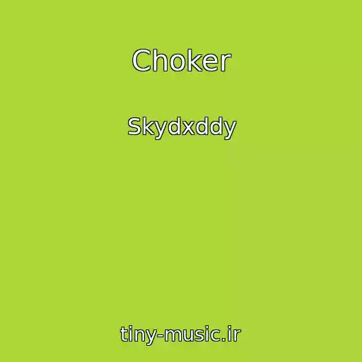 کاور آهنگ Choker از Skydxddy