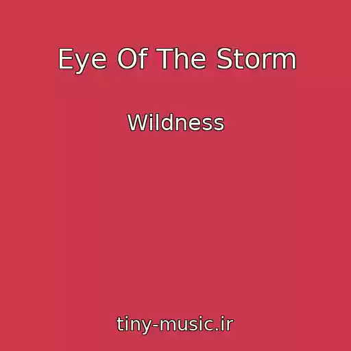 کاور آهنگ Eye Of The Storm از Wildness