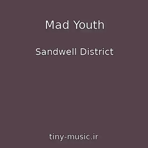 کاور آهنگ Mad Youth از Sandwell District