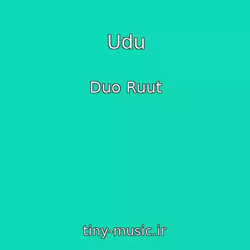کاور آهنگ Udu از Duo Ruut