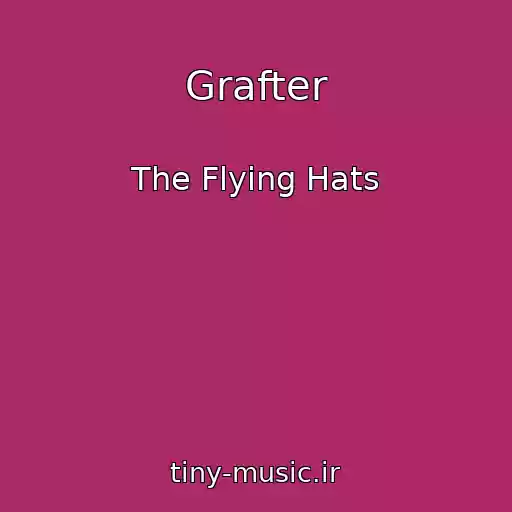کاور آهنگ Grafter از The Flying Hats