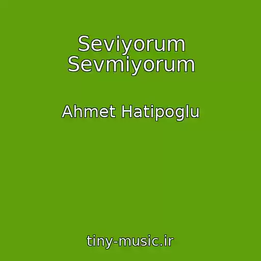 کاور آهنگ Seviyorum Sevmiyorum از Ahmet Hatipoglu