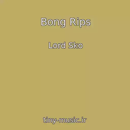 کاور آهنگ Bong Rips از Lord Sko
