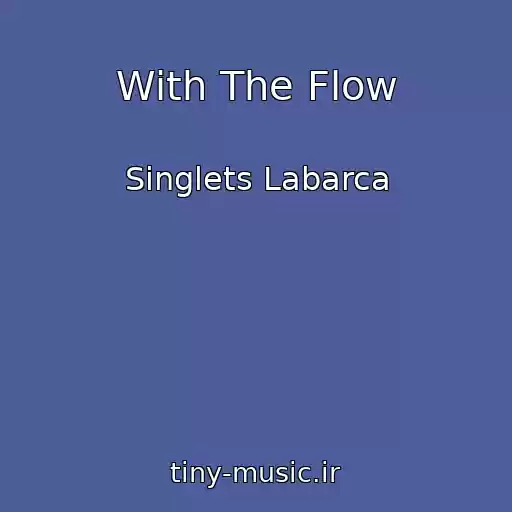 کاور آهنگ With The Flow از Singlets Labarca