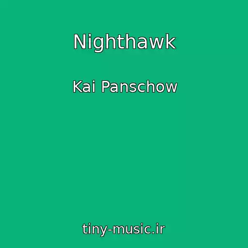 کاور آهنگ Nighthawk از Kai Panschow