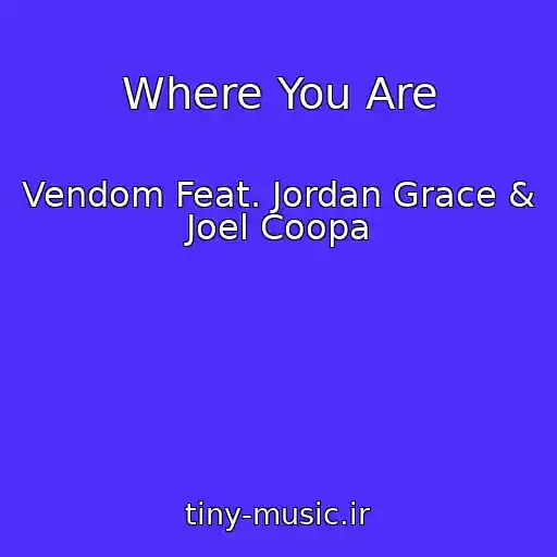 کاور آهنگ Where You Are از Vendom Feat. Jordan Grace & Joel Coopa