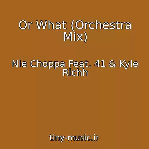 کاور آهنگ Or What (Orchestra Mix) از Nle Choppa Feat. 41 & Kyle Richh