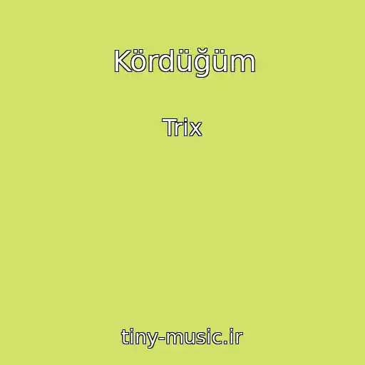 کاور آهنگ Kördüğüm از Trix