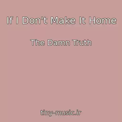کاور آهنگ If I Don't Make It Home از The Damn Truth