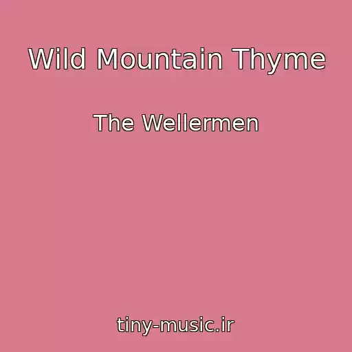 کاور آهنگ Wild Mountain Thyme از The Wellermen