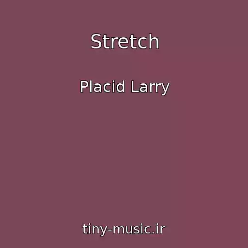 کاور آهنگ Stretch از Placid Larry