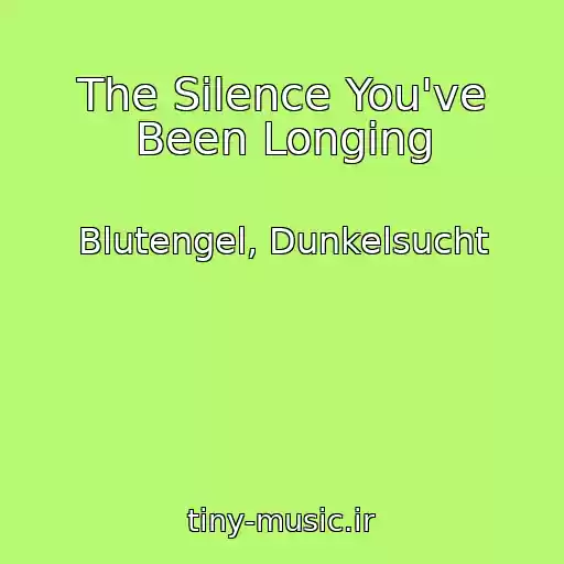 کاور آهنگ The Silence You've Been Longing از Blutengel, Dunkelsucht