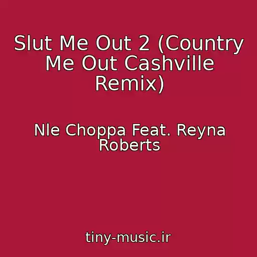 کاور آهنگ Slut Me Out 2 (Country Me Out Cashville Remix) از Nle Choppa Feat. Reyna Roberts