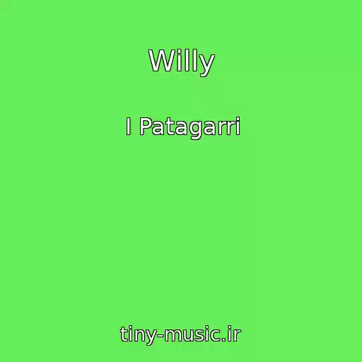 کاور آهنگ Willy از I Patagarri