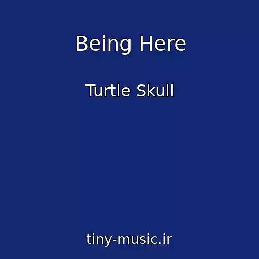 کاور آهنگ Being Here از Turtle Skull