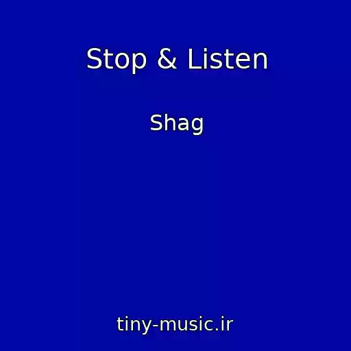 کاور آهنگ Stop & Listen از Shag