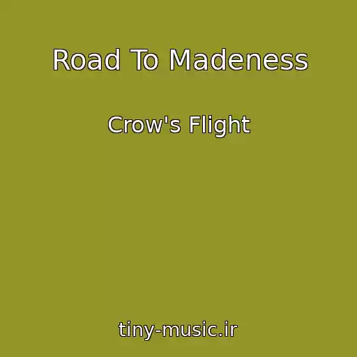 کاور آهنگ Road To Madeness از Crow's Flight