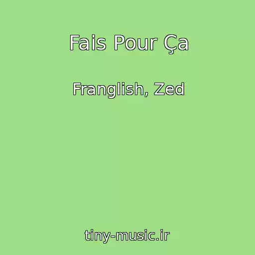 کاور آهنگ Fais Pour Ça از Franglish, Zed