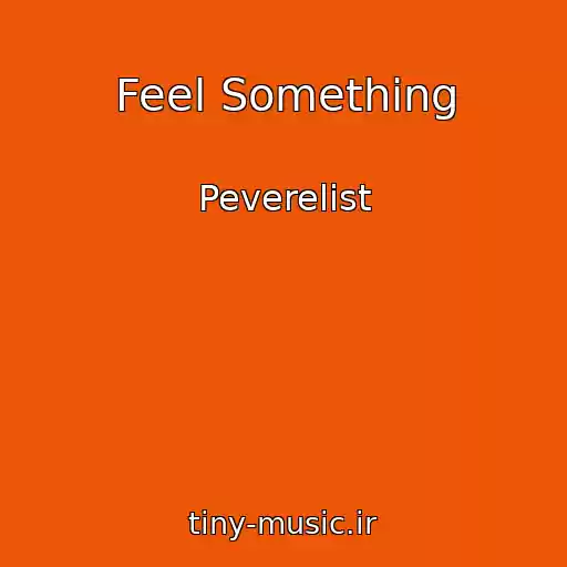 کاور آهنگ Feel Something از Peverelist