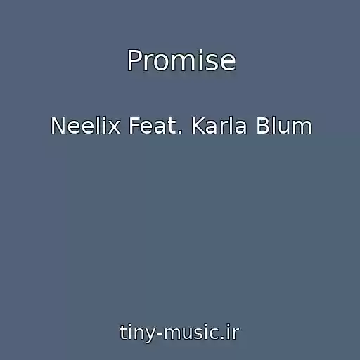 کاور آهنگ Promise از Neelix Feat. Karla Blum