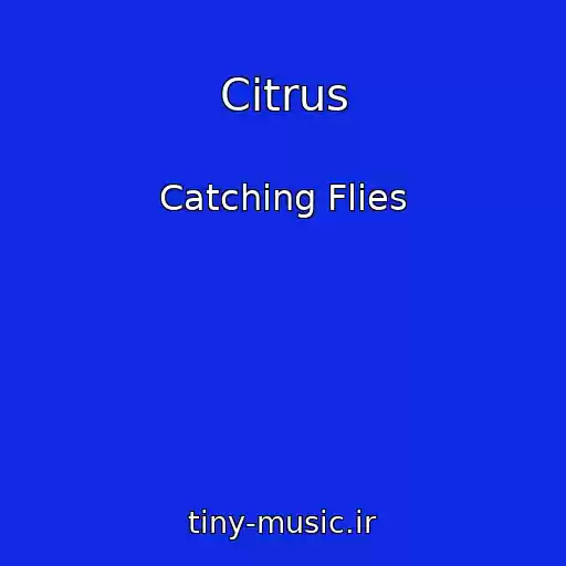 کاور آهنگ Citrus از Catching Flies